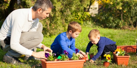Family Bonding Activities: Build a Family Garden